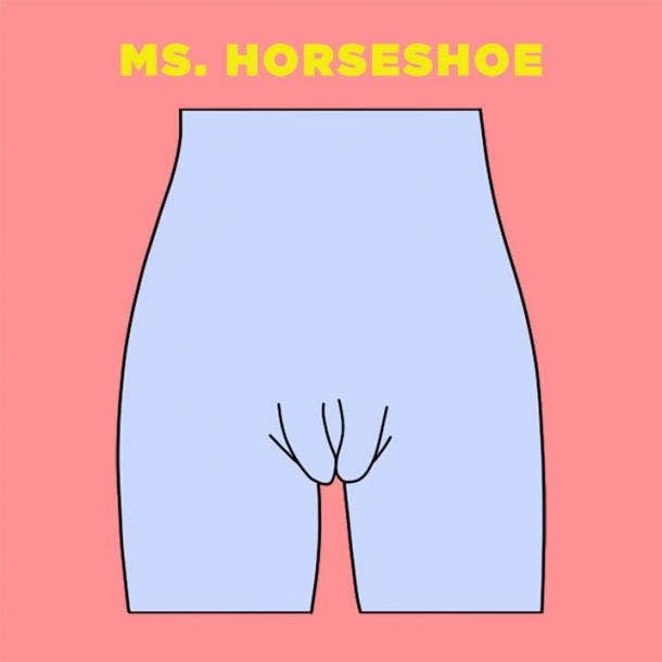 Vaginas types of There are